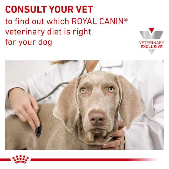 Royal Canin Veterinary Diet Hepatic Canned Dog Food - Pet Supplies online store