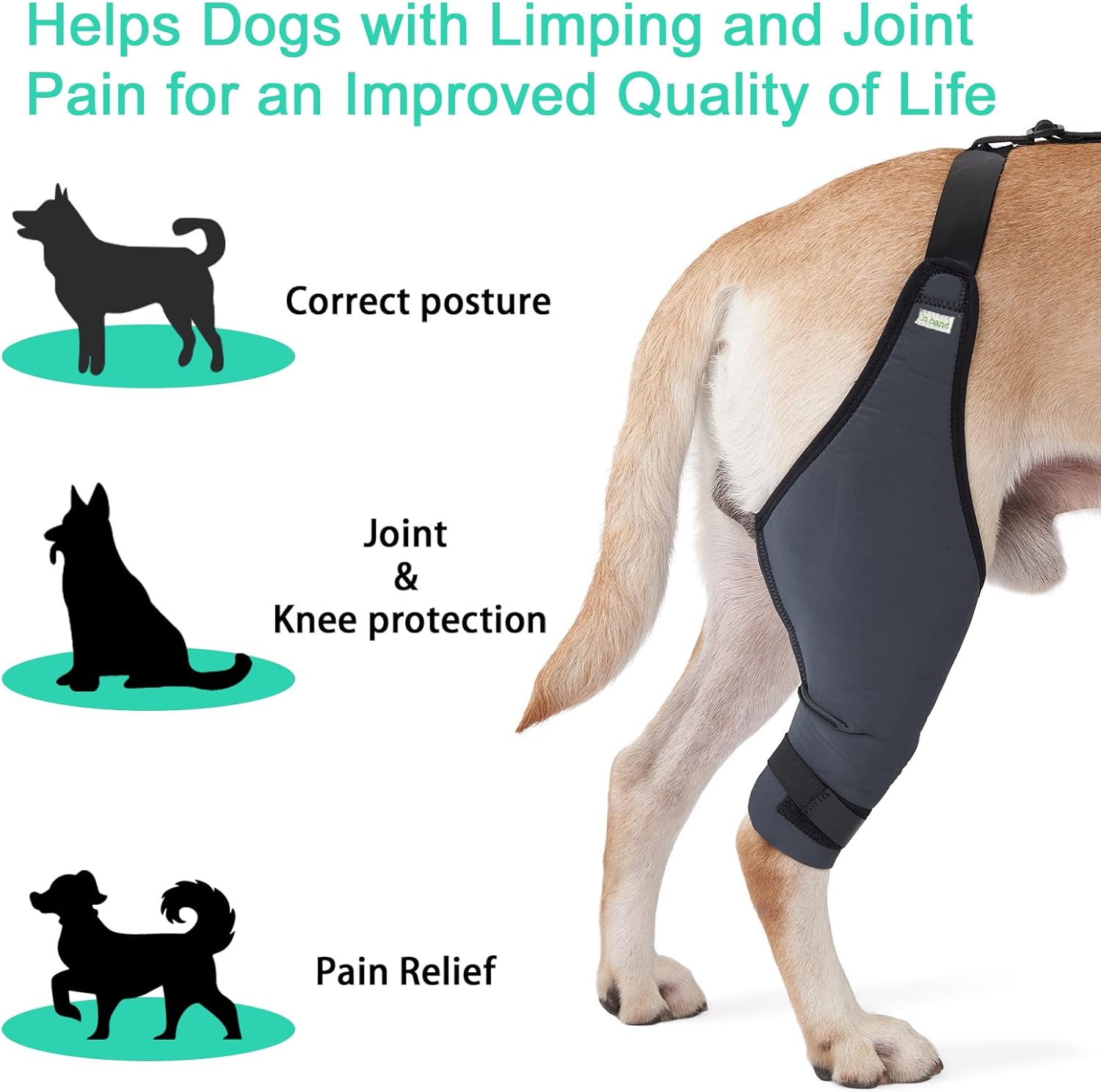 IN HAND Canine Dog Knee Brace, Knee Immobilizer Support for Dogs with Torn ACL, Knee Cap Dislocation, Arthritis, Neoprene Canine Stifle Brace Helps Keep The Joint Stable and Reduces Pain, Left