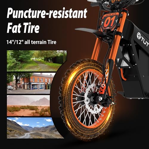 Electric Dirt Bike Teens Adults Electric Bike 48V 21AH Removable Battery with Hydraulic Brakes
