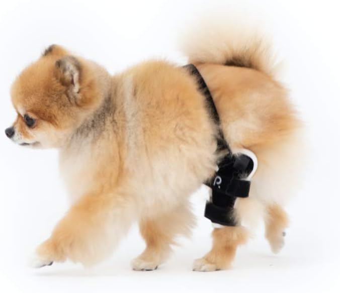 Poveo hinged Dog Knee Brace with Patella Tracker - Neoprene Canine Stifle Support for Dogs with Flexible Support, Torn ACL, Patella Luxation, osteoarthritis, limping from Joint Pain, Hip dysplasia
