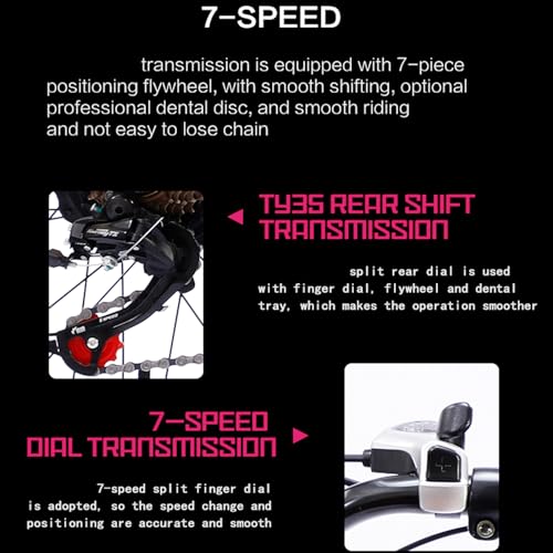 20" x 4.0 Fat Tire,Electric Bike for Adults,750W Brushless Motor Ebike, 28MPH,48V/13Ah Removable Battery,7 Speed Gear,Up to 25 Miles for Ebikes , All-Terrain E Bike for Mountains, Snow, Sand, Road
