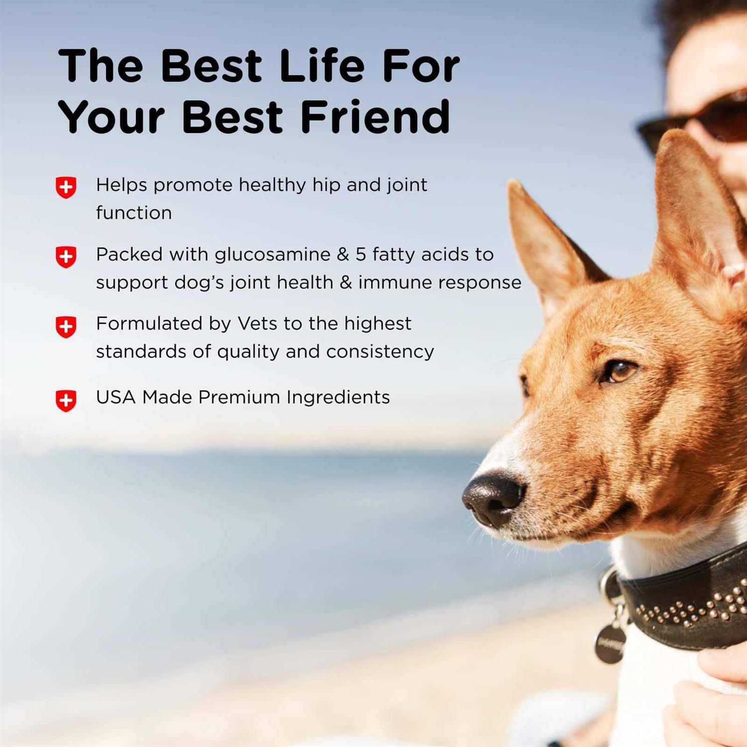 Advanced Cetyl M Joint Action Formula for Dogs - Pet Supplies online store
