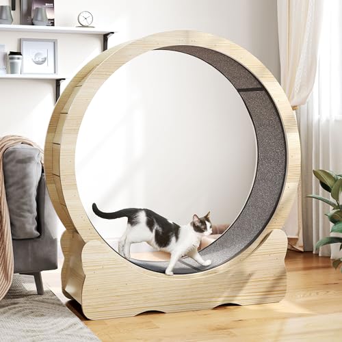 DWVO Cat Wheel Exerciser for Indoor Cats, 43.3 Inch Solid Wood Cat Exercise Running Wheel with Carpeted Runway, Low Noise Cat Treadmill Wheel with Locking Mechanism, Ideal Gifts for Cat, Burlywood
