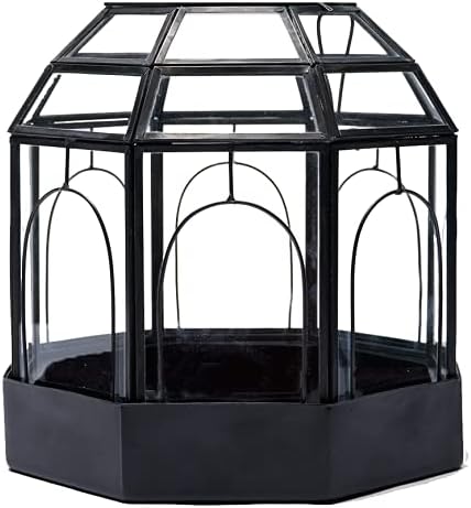 Urban Born - Metal Bottom Birdcage Terrarium, Handmade Glass and Steel Terrarium — 10 x 9 x 9 (Black Steel)