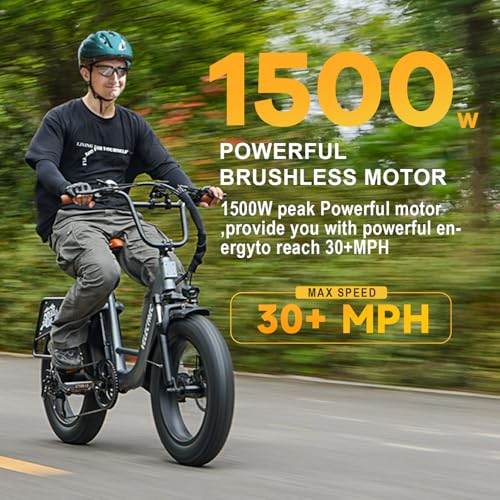 Electric Bike for Adults,1500W Motor Peak 48V 18AH Removable Battery,30MPH Ebike, 20" x 4.0 Fat Tire Electric Bike Commuter Beach Snow Bicycle,7-Speed,Dual Shock Absorber