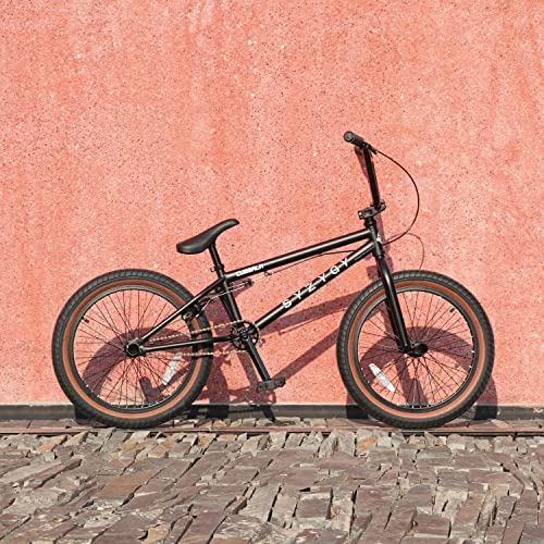 Syzygy 20 Inch Freestyle BMX Bike Bicycles for Ages Over 6 Years Old Boys Teen and Beginner Riders, Multiple Color