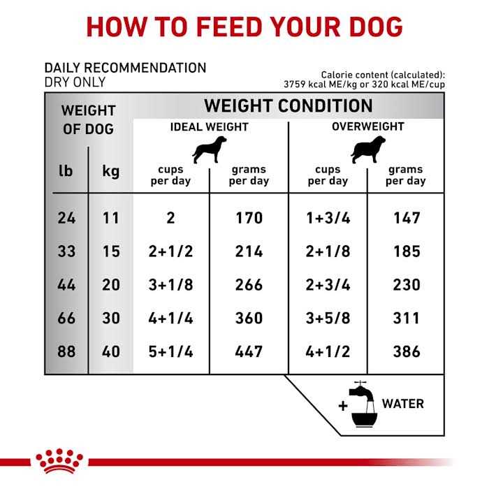 Royal Canin Veterinary Diet Canine Dental Medium &amp; Large Breed Dry Dog Food - Pet Supplies online store