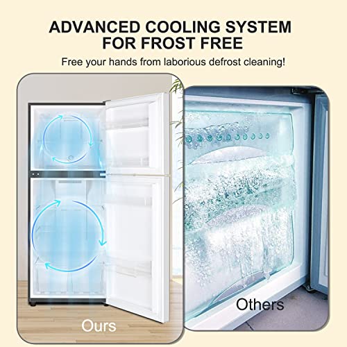 Frestec 2 Door Refrigerator with Freezer