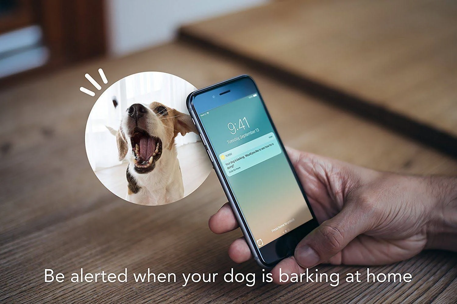 Furbo Dog Camera: Treat Tossing, Full HD WiFi Pet Camera and 2-Way Audio