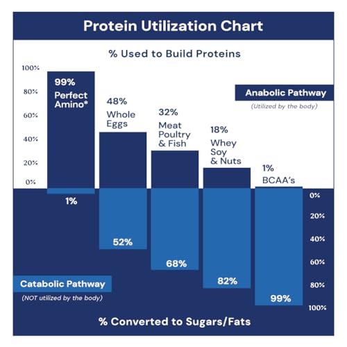 BodyHealth PerfectAmino Powder Mixed Berry (120 Servings) Best Pre/Post Workout Recovery Drink, 8 Essential Amino Acids Energy Supplement with 50% BCAAs, 100% Organic, 99% Utilization
