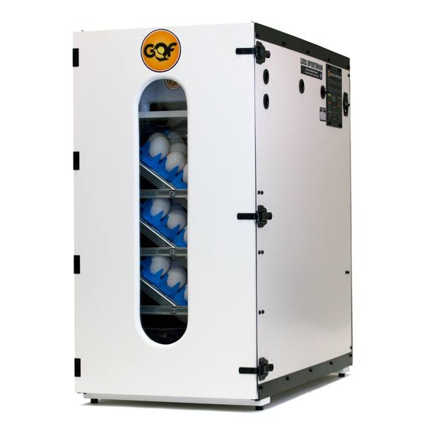 GQF Sportsman Egg Incubator Cabinet Digital LCD Display Picture Window 1502
