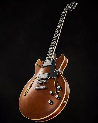 WestCreek 333 Electric Guitar with 6 String, Semi Hollow Body Jazz Electric Guitar, Humbucker Pickups, Rosewood Fretboard, Rounded End Jumbo Frets, Full size