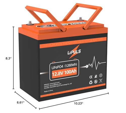 12.8V 100Ah LiFePO4 Battery Lithium Deep Cycle Battery, Group 24 Size Built-in 100A BMS, Max.1280Wh Lithium Iron Phosphate Battery, 10-Year Lifespan, Perfect for RV, Solar Panel, Trolling Motor