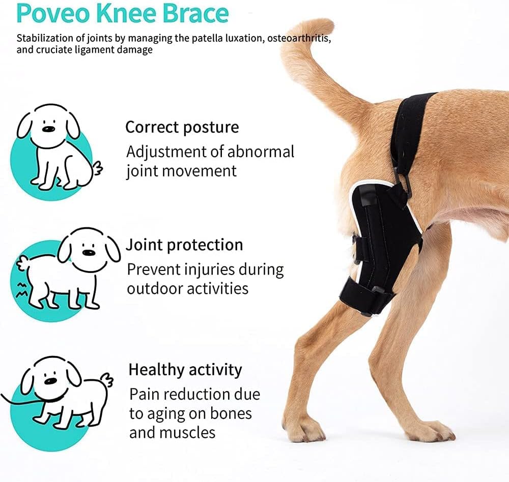 Poveo hinged Dog Knee Brace with Patella Tracker - Neoprene Canine Stifle Support for Dogs with Flexible Support, Torn ACL, Patella Luxation, osteoarthritis, limping from Joint Pain, Hip dysplasia