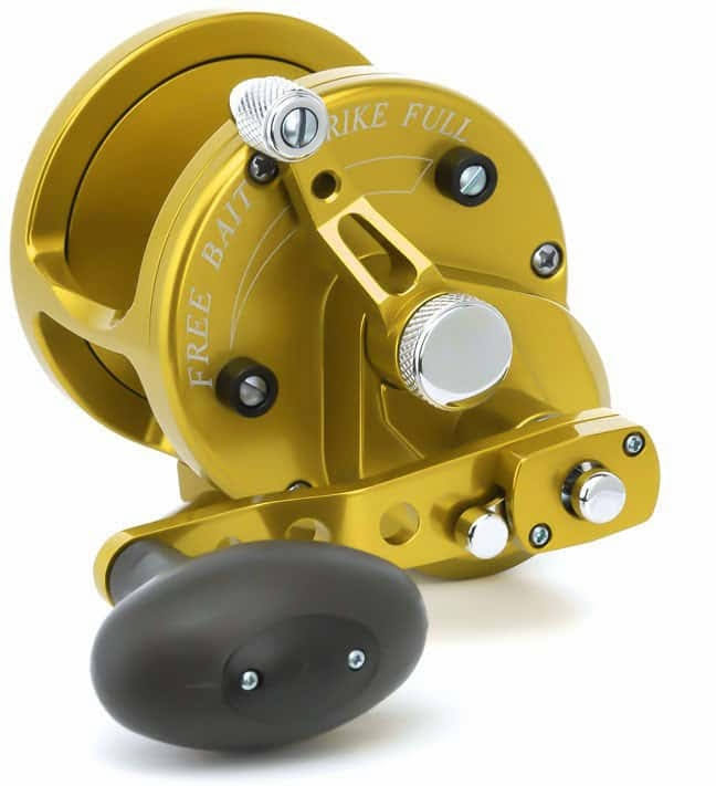 Avet JX 6/3 2-Speed Lever Drag Casting Reels Gold