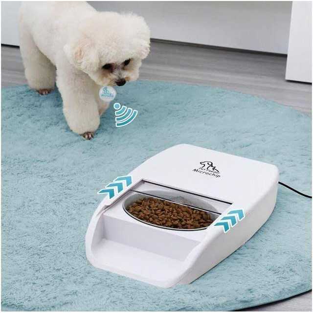 MPM Automatic Microchip Pet Feeder Multi-Pet Cat Dog Feeder - Pet Supplies online store