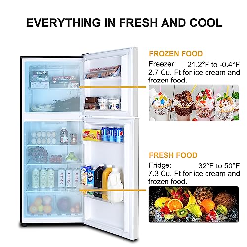 Frestec 2 Door Refrigerator with Freezer