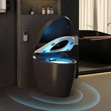 CANEST® Black Smart Toilet | ‎TC-200BG