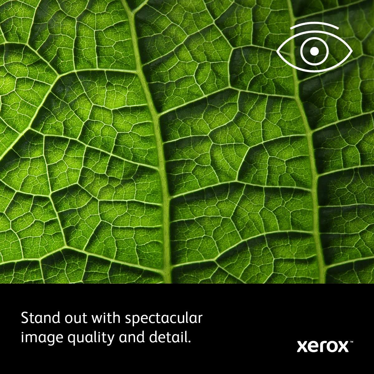 Xerox 6515/DN WorkCentre Laser Multifunction Printer - Color