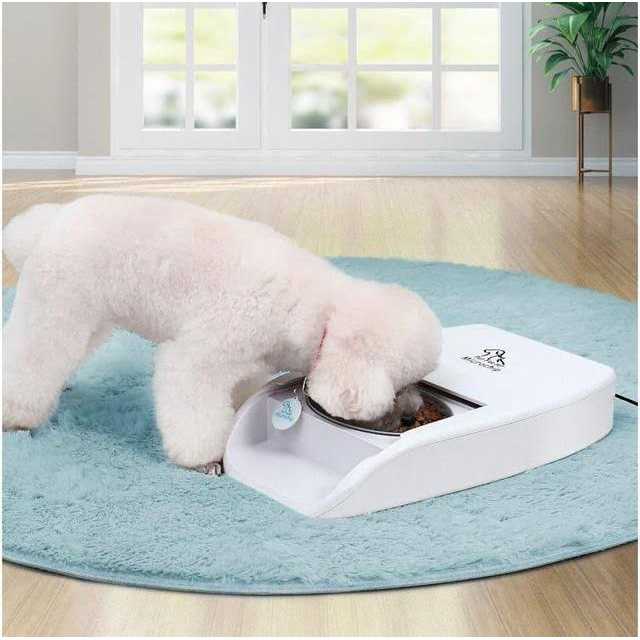 MPM Automatic Microchip Pet Feeder Multi-Pet Cat Dog Feeder - Pet Supplies online store