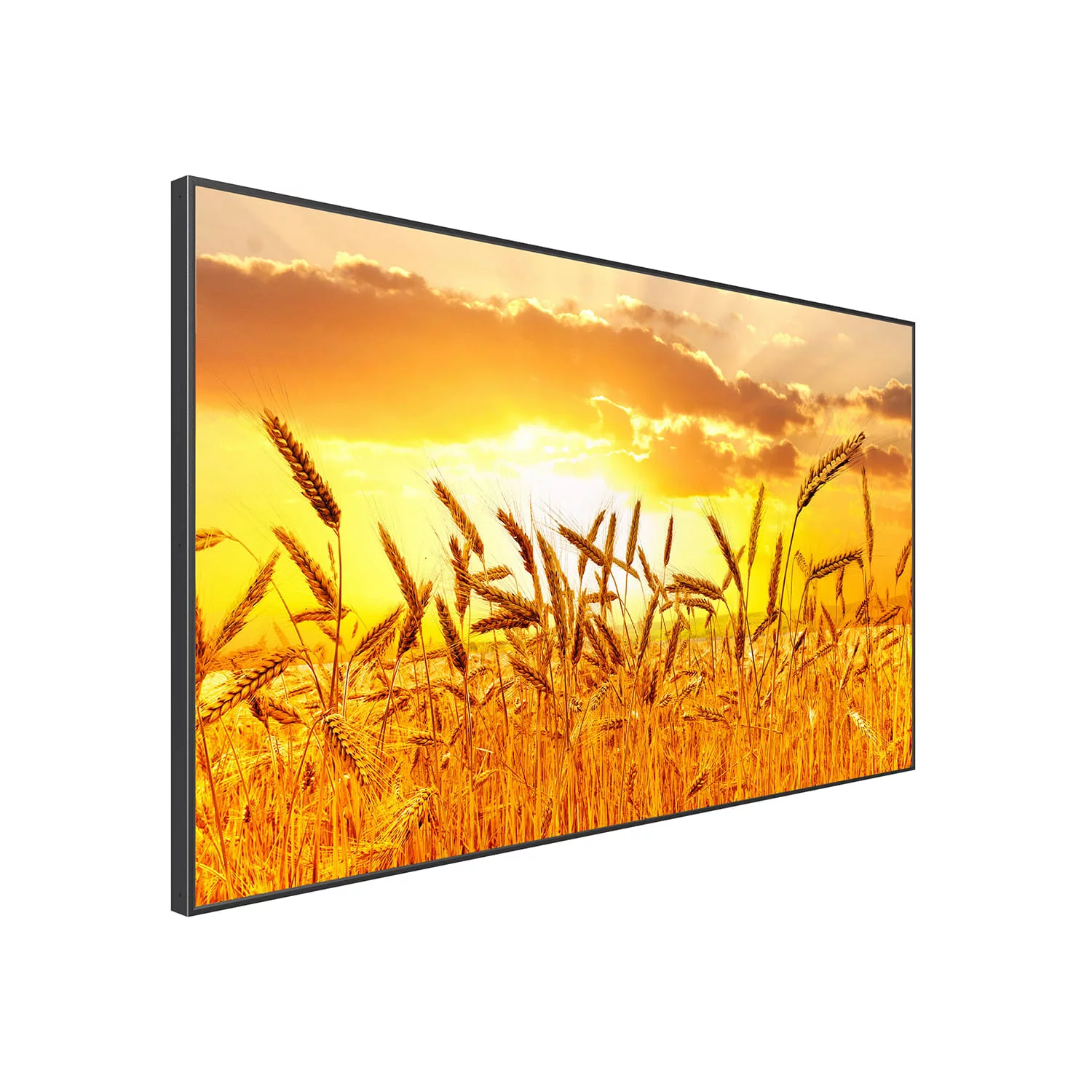 KUVASONG 43" Sun Readable Smart Outdoor TV for Outdoor Covered Area, 43" High Brightness Smart Outdoor Television