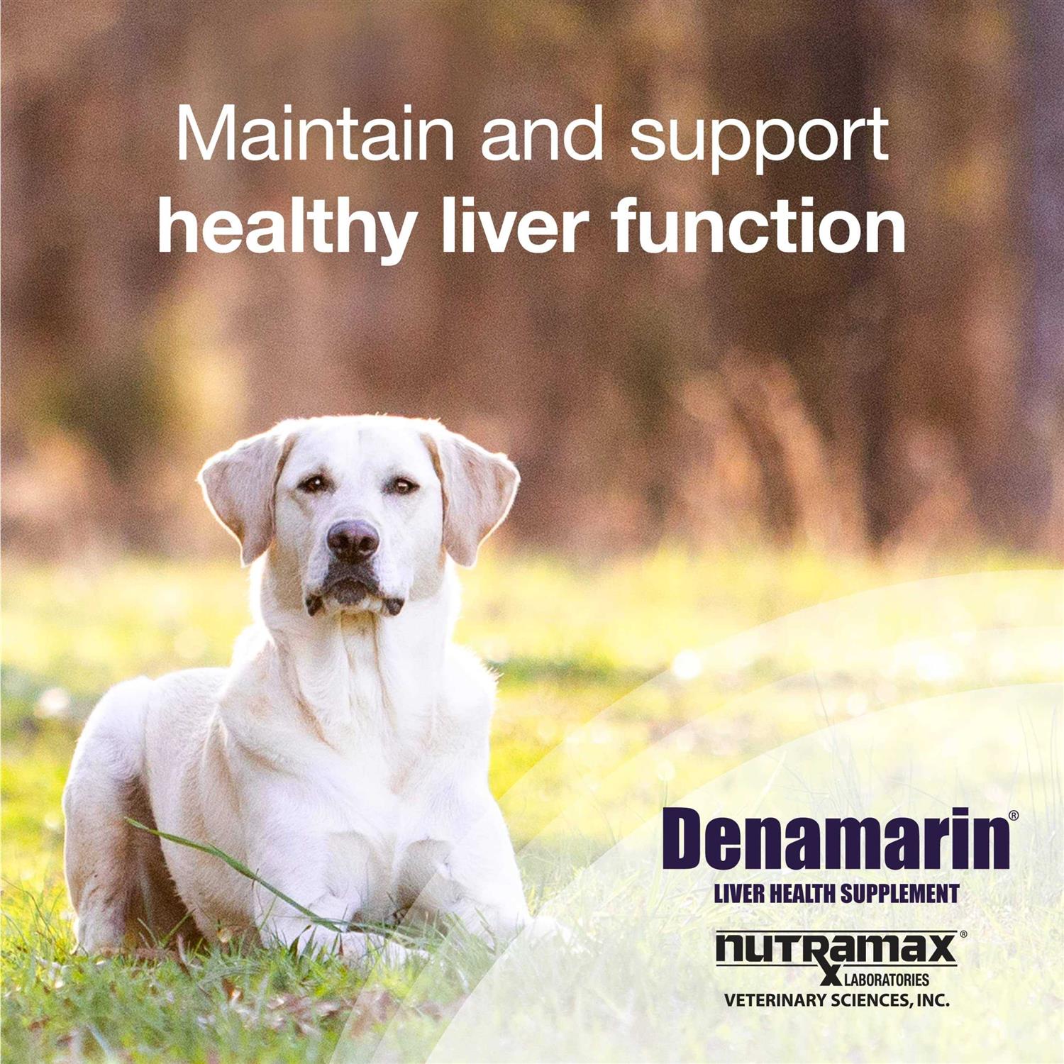 Denamarin for Dogs - Pet Supplies online store