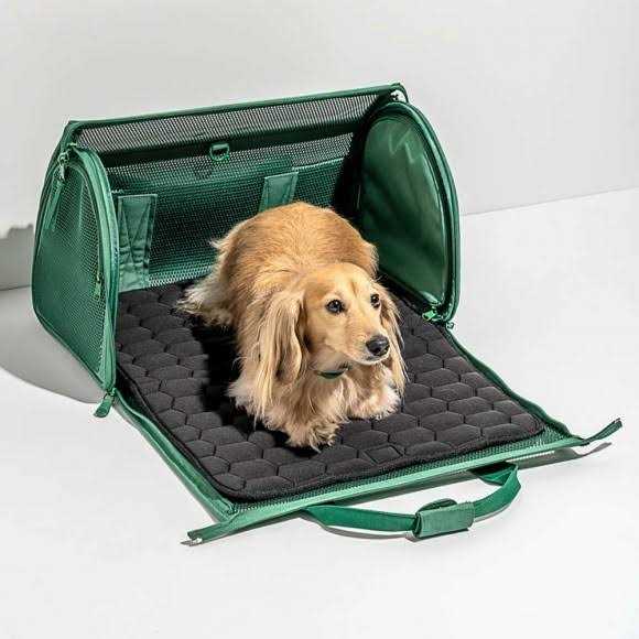 Wild One Travel Carrier - Pet Supplies online store