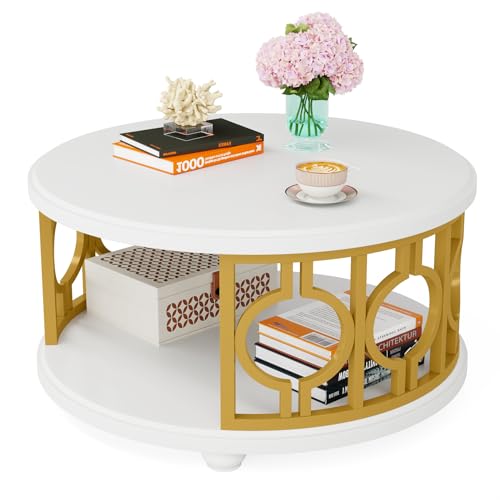2-Tier Coffee Table, Modern Round Center Table with Storage Shelf for Living Room