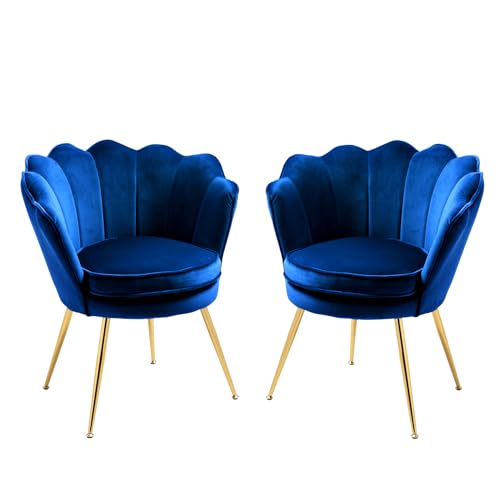 Velvet Accent Chairs Set of 2 for Living Room, Mid Century Modern Arm Chair, Comfy Vanity Chair for Makeup Room, Reception Armchair with Golden Legs for Bedroom, Grey