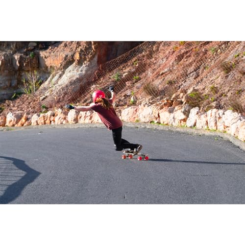 TSG - Pass 2.0 Full-face Premium Helmet w/Two Visors | Downhill Skateboarding, E-Skating, E-Onewheeling, Longboarding | Nose Ports, Air Flow Channels, Ear Slots, Adjustable Cheek Pads | ABS Hardshell