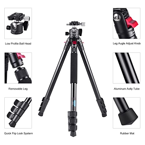 Carbon Fiber Tripod,Lightweight Portable Travel Tripod with Low Profile Ball Head with 1/4" Quick Release Plate Compatible with Camera Max Load 22lbs…