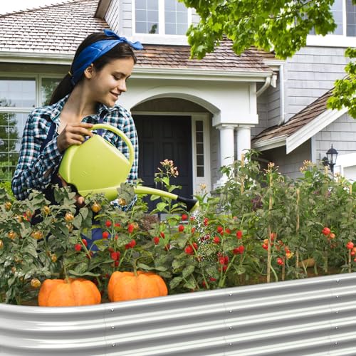 FRIZIONE Raised Garden Bed Outdoor, Raised Garden Beds for Flower, Raised Planter Box Outdoor for Herb, Vegetable - N1