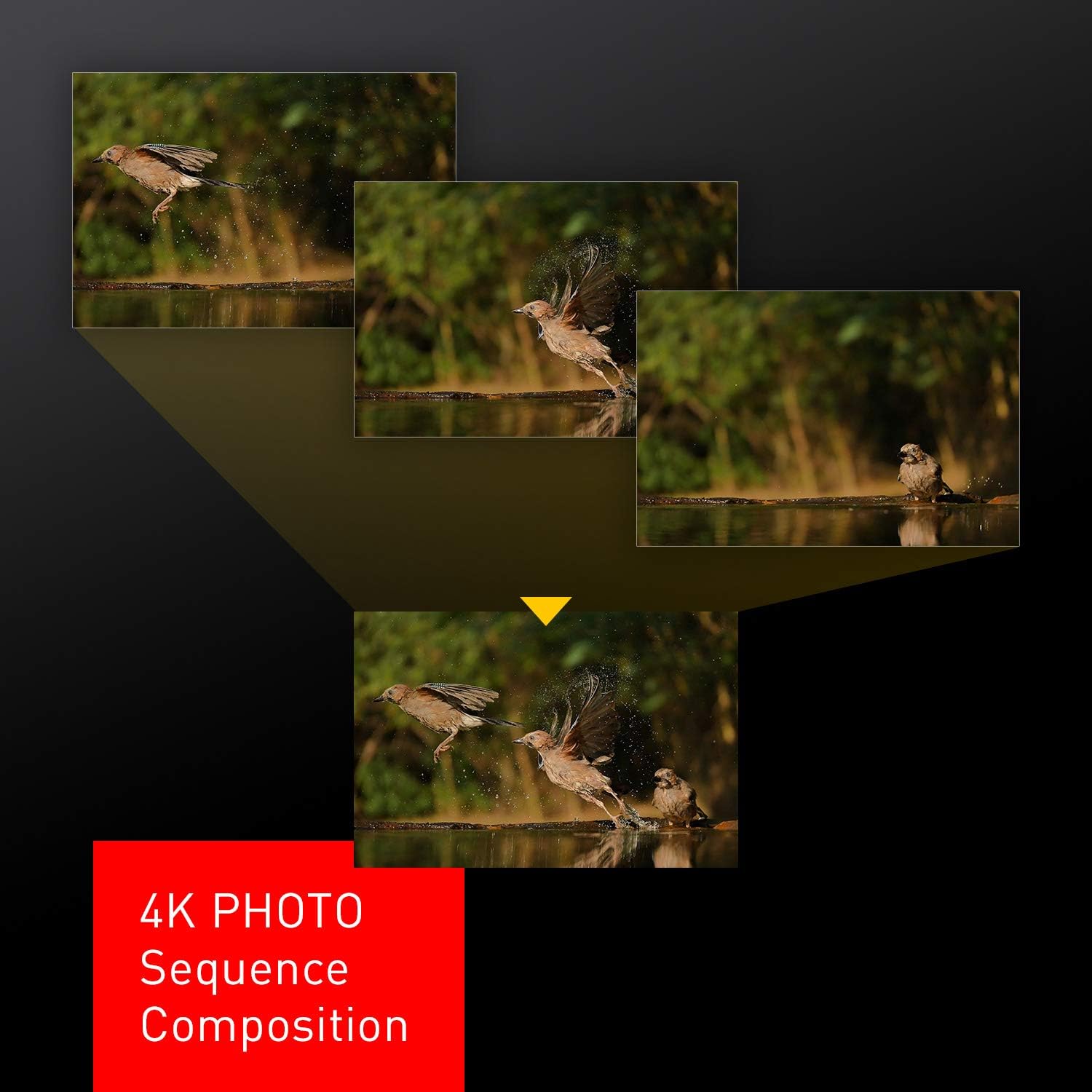 Panasonic Lumix LX100 II Large Four Thirds 21.7 MP Multi Aspect Sensor 24-75mm Leica DC VARIO-SUMMILUX F1.7-2.8 Lens Wi-Fi and Bluetooth Camera with 3 LCD, Black (DC-LX100M2)