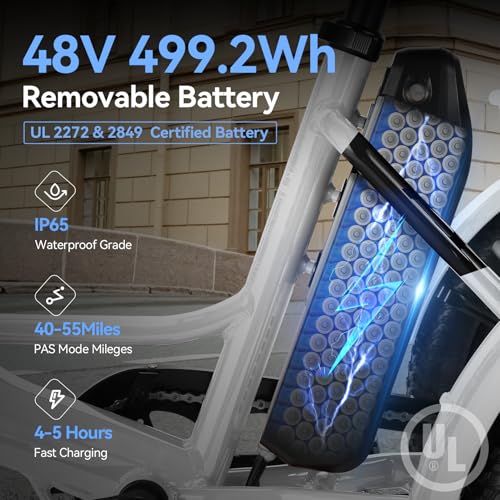 Vivi T01 20" x2.6 Fat Tire Electric Tricycle for Adults, 750W Peak 20'' Folding 3 Wheels Electric Bike, 95% Pre-Assembled, Speed Differential, 15.5MPH Eletric Trike with Bracket