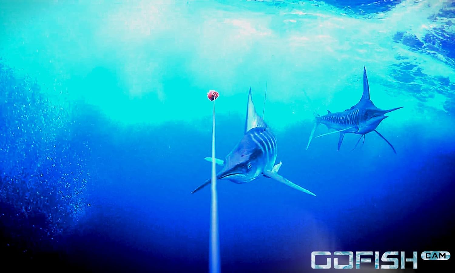 GoFish Cam Wireless Underwater Fishing Camera, Black