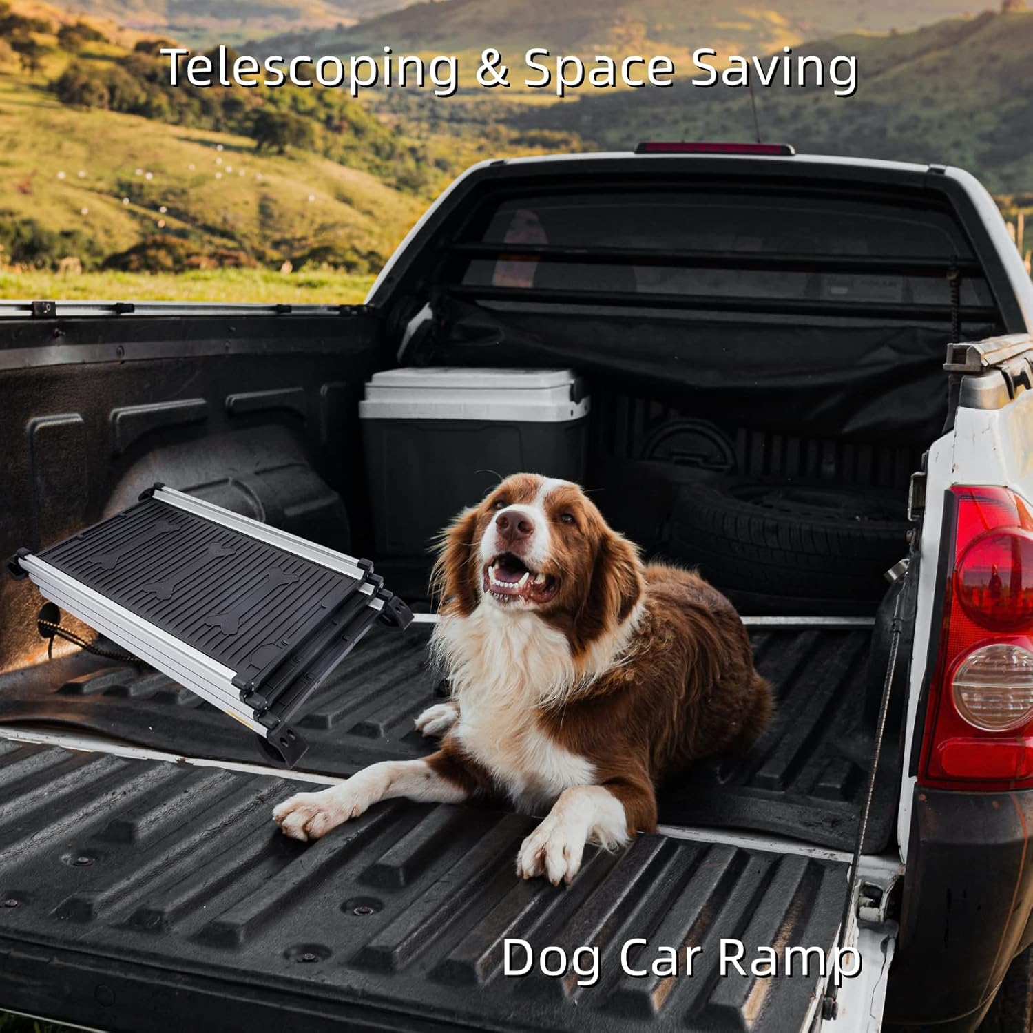 Dog Ramp, 64"x16" Lightweight Pet Ramp, Collapsed Portable Car Ramps for Small, Medium, Large Dogs, Holds up to 185lbs, Available for Bed, Car, Truck, SUV, Anti-Resistant with Rubber Feet