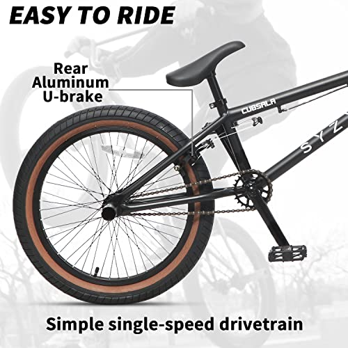 Syzygy 20 Inch Freestyle BMX Bike Bicycles for Ages Over 6 Years Old Boys Teen and Beginner Riders, Multiple Color