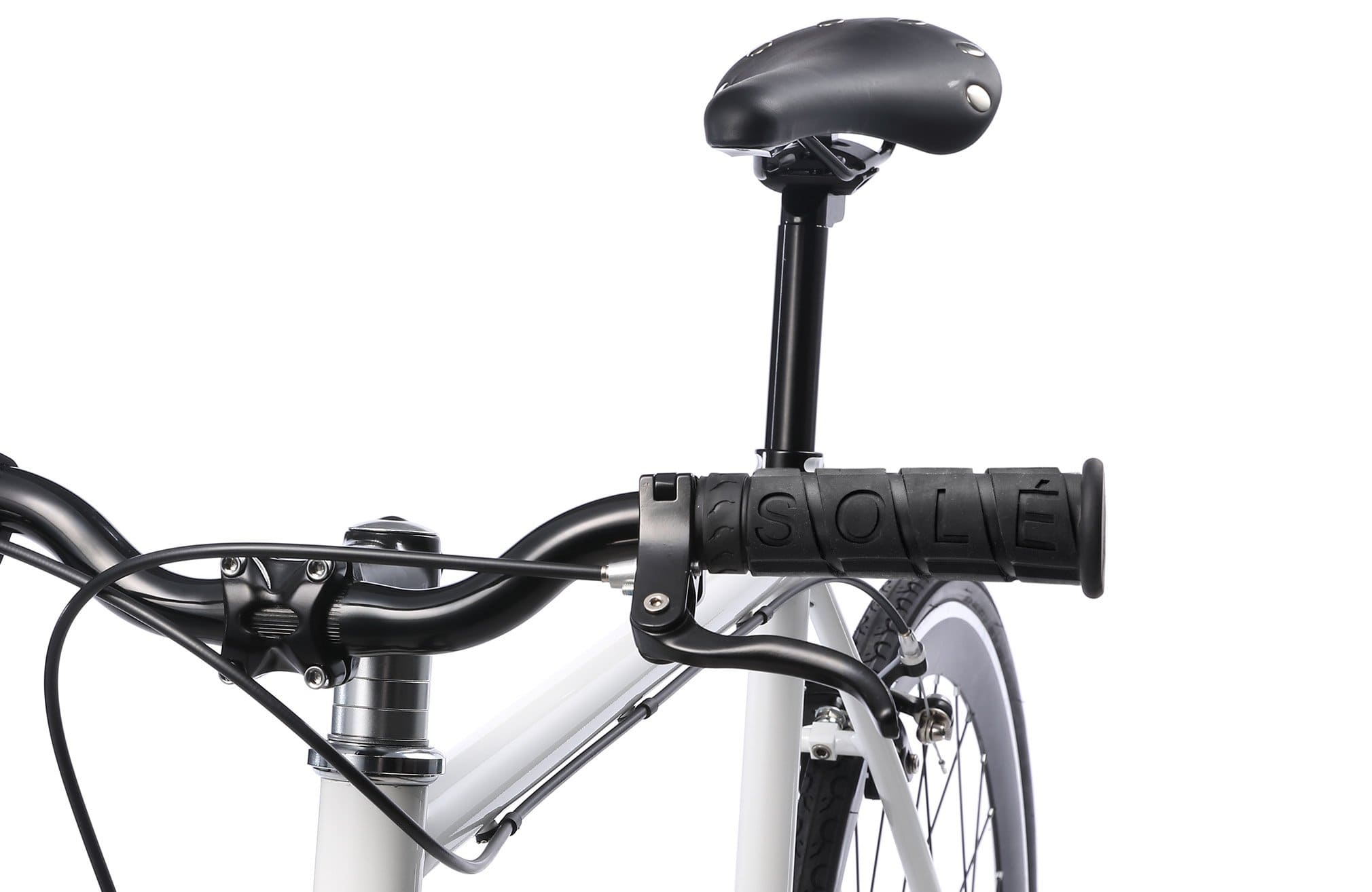 Single Speed Fixed Gear Bicycle by Solé Bicycles- the Duke