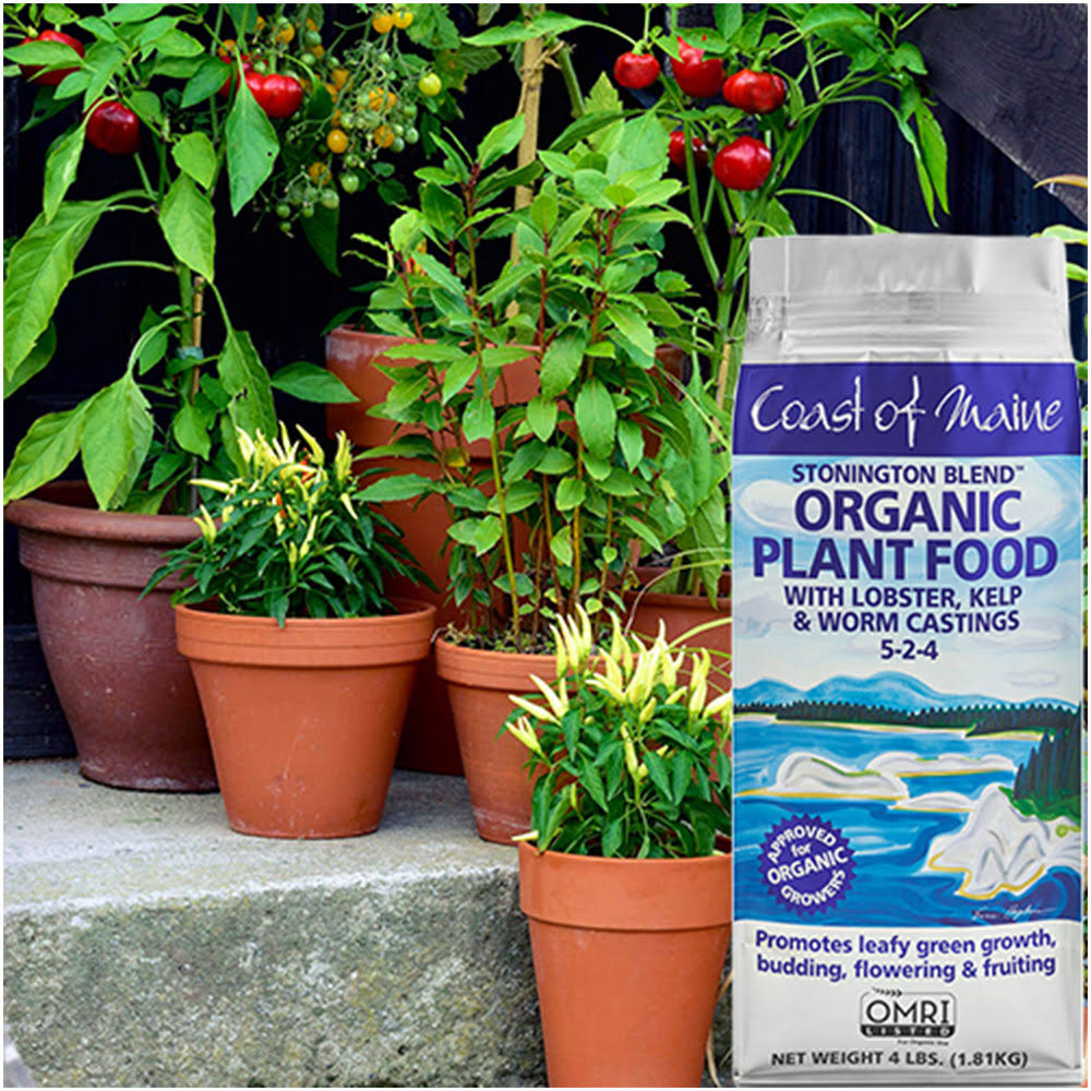 Coast of Maine Organic Stonington Blend Plant Food, 4 Pound Bag (8 Pack) at Spreetail (VMinnovations | VM Express)