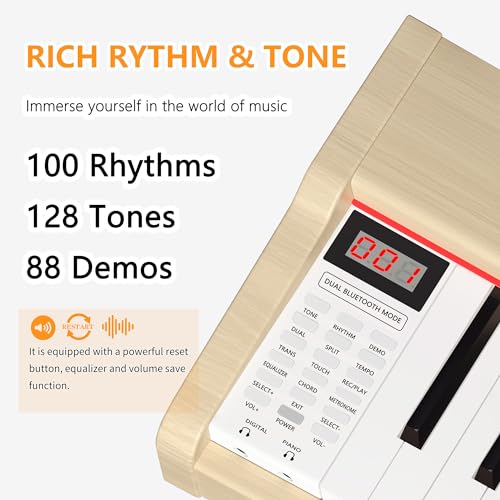 88 Key Fully Weighted Electric Piano Keyboard Hammer Action Full-size Digital Pianos for Beginners Adults Wooden Upright Piano with Sheet Music Stand Triple Pedal, Supports USB-MIDI Black