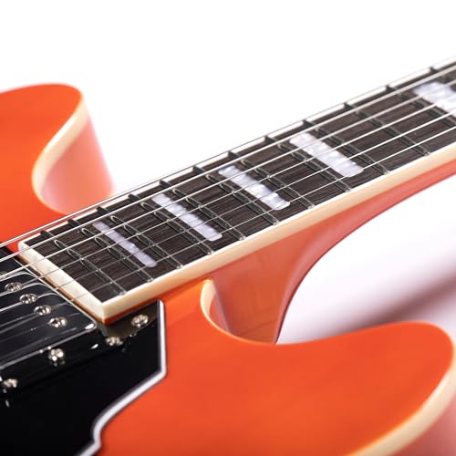 Redid Semi-Hollow Body Electric Guitar RD-100 Jazz Guitar with F-Hole,Maple neck,humbucker Pickups(Brown)