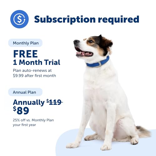 PetSafe Guardian GPS + Tracking Dog Fence Collar Pet Safe GPS Dog Collar Fence System, with App Waterproof Rechargeable Collar, Tracking for Dogs (Blue, Grey)