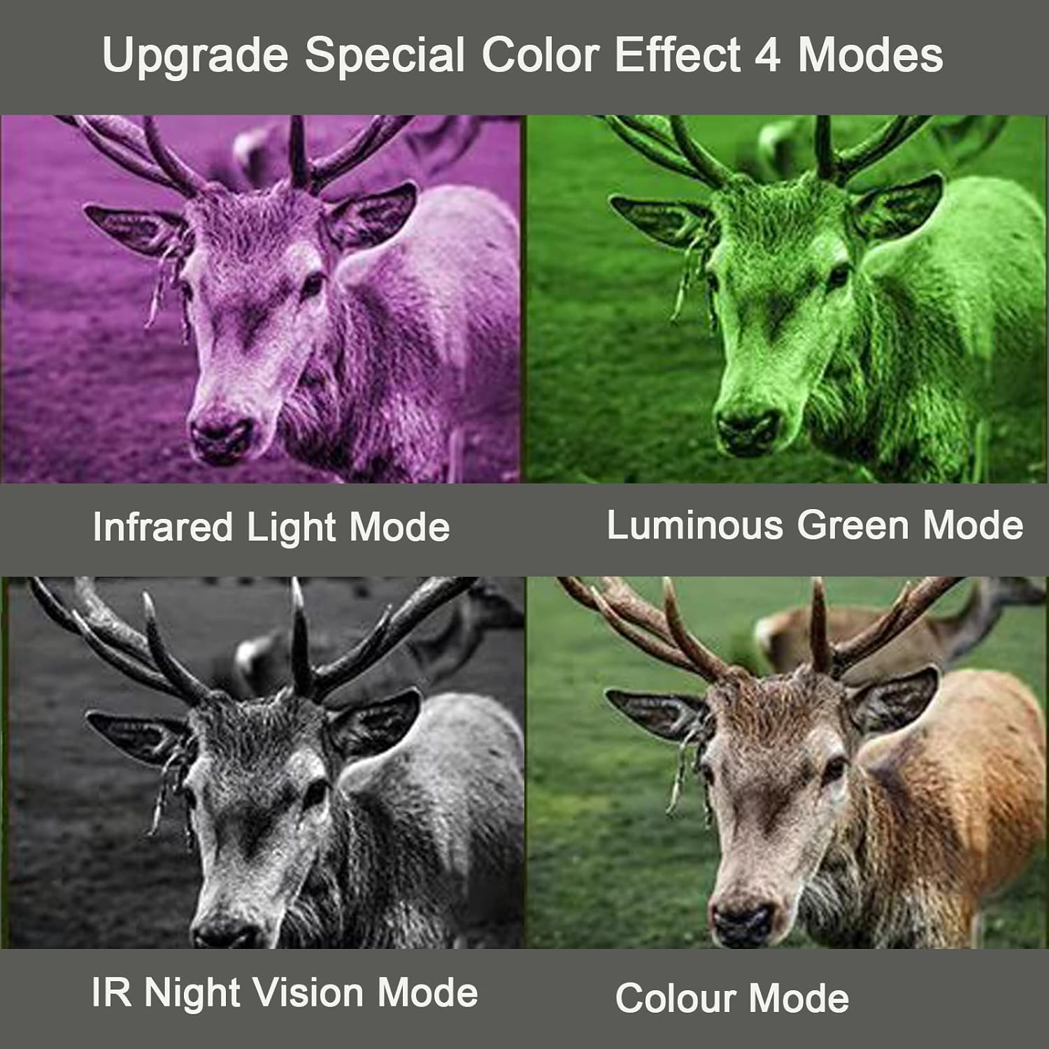 Night Vision Goggles and Day Binoculars for Viewing in 100% Darkness HD960p Image Video 32G TF Card-Digital Infrared Goggles Military for Hunting & Surveillance 984ft/300M in Dark with 2.5 LCD Screen