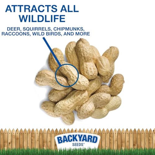 Backyard Seeds 50 Pounds Peanuts in Shell