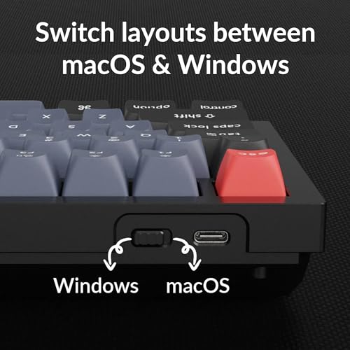 Keychron Q3 Wired Custom Mechanical Keyboard Knob Version, TKL QMK/VIA Programmable Macro with Hot-swappable Gateron G Pro Blue Switch Double Gasket Compatible with Mac Windows Linux (Black)