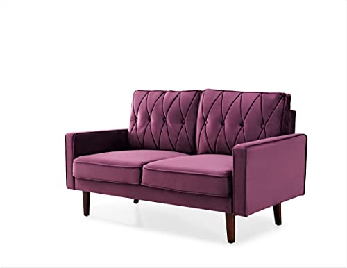 Modern Style Tufted Velvet Couch for Living Room with Soft Fabric Upholstery and Solid Wood Frame, 57.5'' Wide Loveseat, EGGPLANT