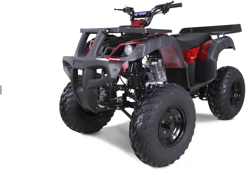Rhino 250 ATV Youth Adult Quad Four Wheeler TAO Motors Rhino 250 Utility ATV Full Size with Reverse and Manual Clutch 4 Speed (Black Color)