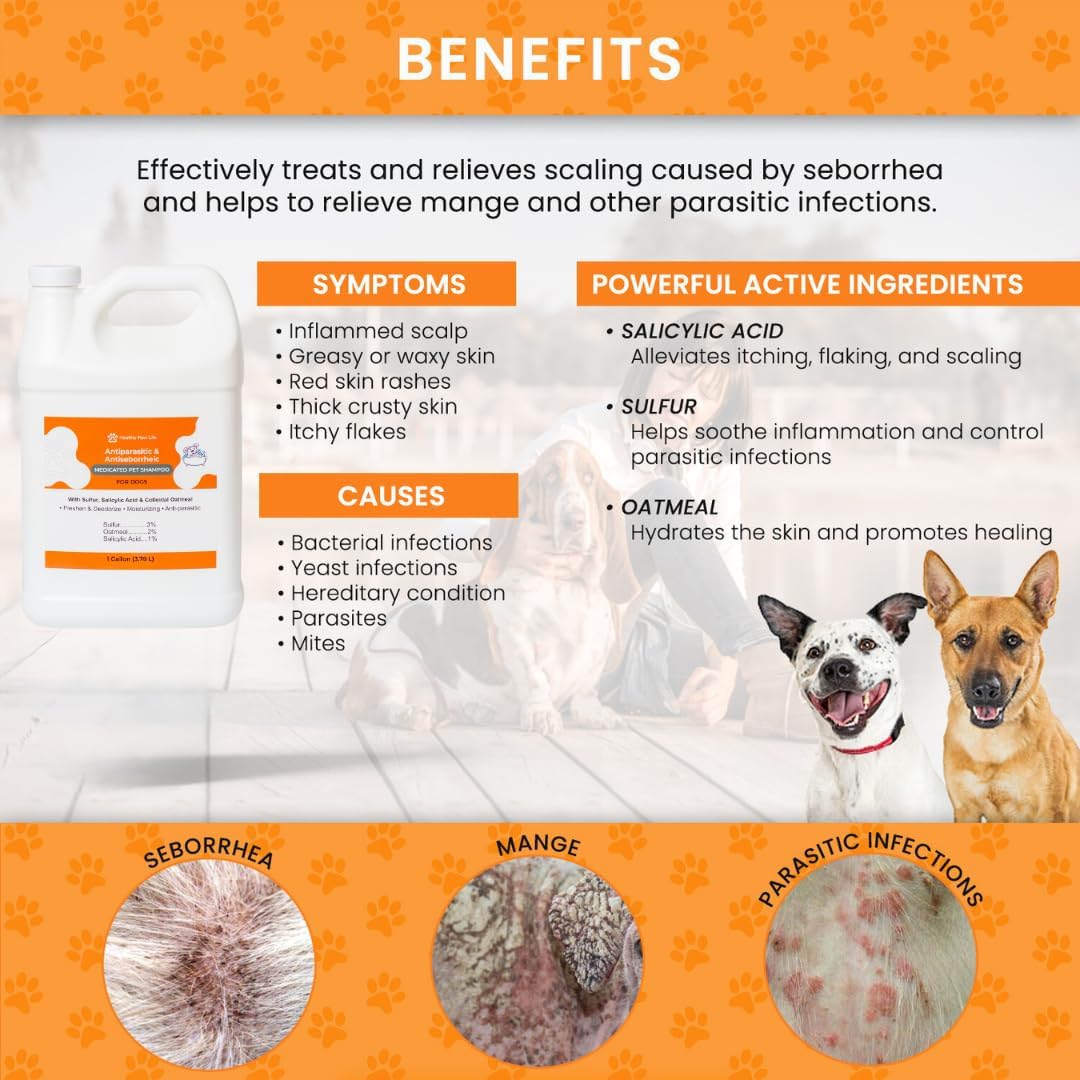 Lime Sulfur Dip and Antiparasitic & Antiseborrheic Sulfur Salicylic Acid Dog Shampoo- 1 Gallon Each - Safe Solution for Itchy Skin, Hot Spots, Yeast & Mange - Healthy Paw Life
