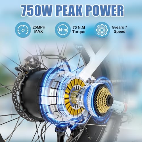 DAMSON Electric Bike for Adults 750W,48V 31.5AH Long-Range Adult Electric Bicycles, 20" Fat Tire Full Suspension Ebike, 25MPH Beach Mountain E Bike with Dual Disc Brakes,118Miles Range