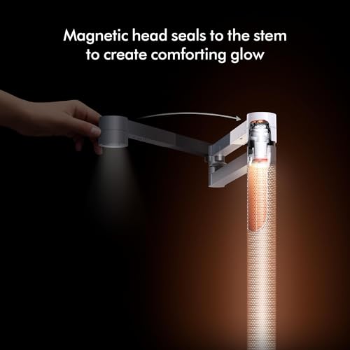 Dyson Solarcycle Morph™ Floor Light CF06